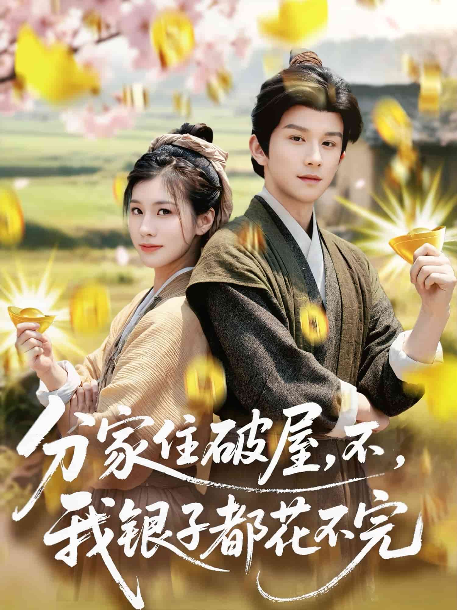 分家住破屋，不，我银子都花不完(全集)